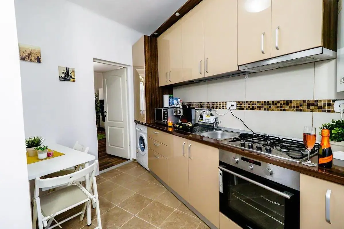 Cozy Studio In Downtown Bucharest Apartment