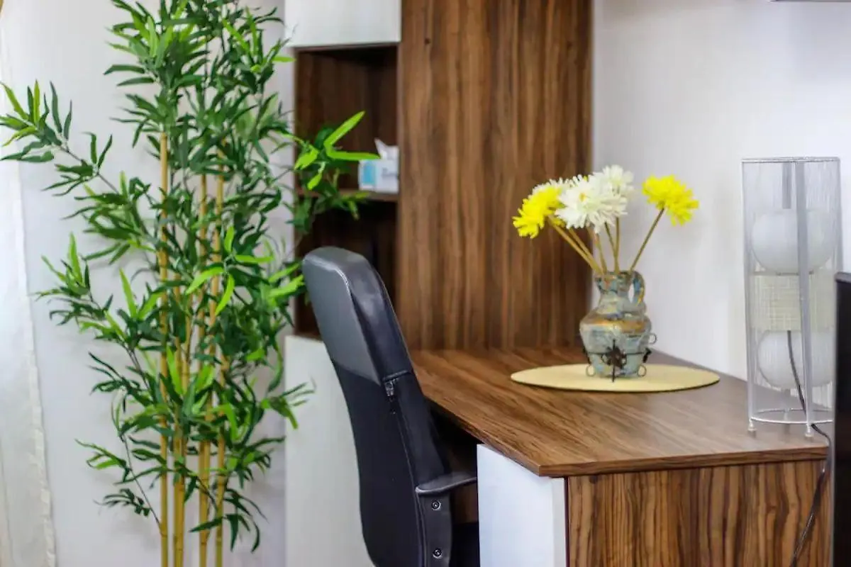 Apartment Cozy Studio In Downtown Bucharest Romania