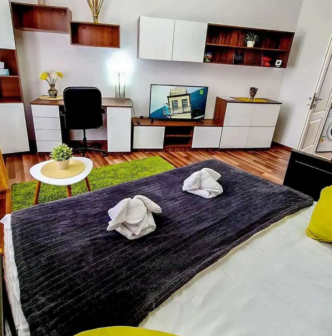 Cozy Studio In Downtown Bucharest